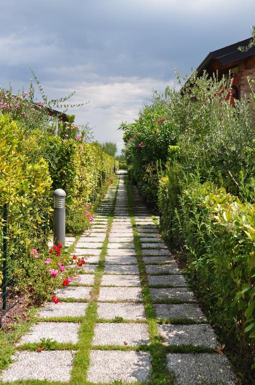 Belvedere Home Ντεζεντσάνο ντελ Γκάρντα Εξωτερικό φωτογραφία